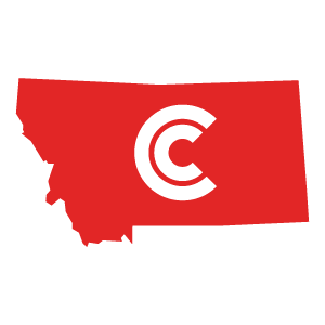 Montana Diminished Value State Icon
